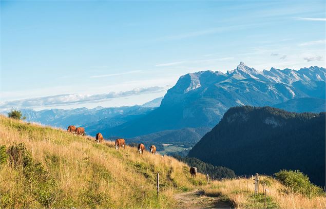 Vue sur les Aravis après le col de la Basse - Victor Demilly / Vallée d'Aulps Tourisme