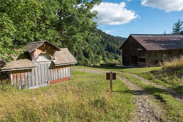 Chemin de la Marée dessus après le Col de l'Encrenaz - Victor Demilly / Vallée d'Aulps Tourisme
