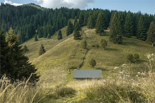 Alpage - Lucie Tanguy / Vallée d'Aulps Tourisme