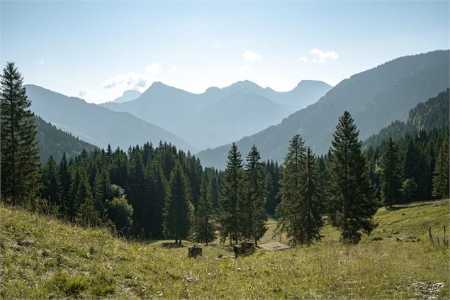 Vue sur les montagnes - Lucie Tanguy / Vallée d'Aulps Tourisme