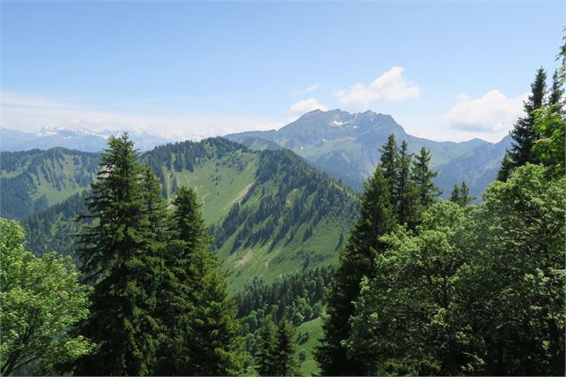 Randonnée pédestre : Grand Tour des Crêtes de Seytroux_Seytroux - Yvan Tisseyre / OT Vallée d'Aulps