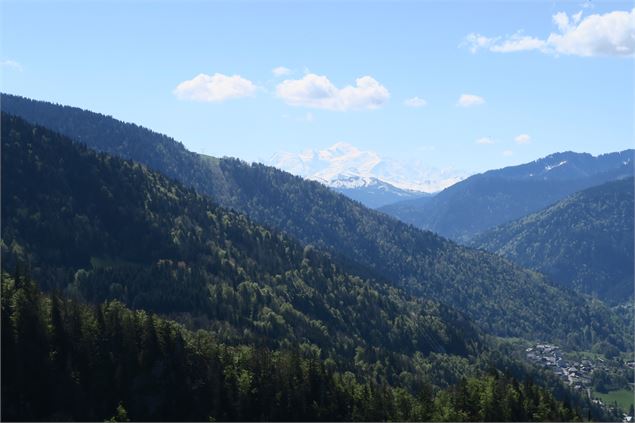 Vue mont Blanc - Victor Demilly