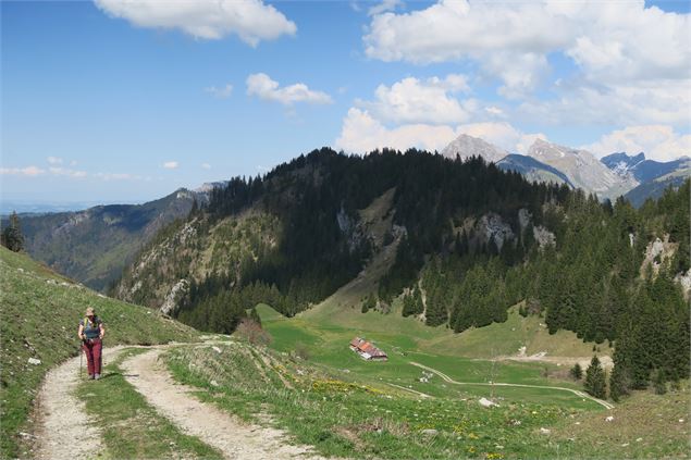 Vue Dent d'Oche - Victor Demilly