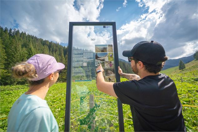 Chemin des ponts - Région Dents du Midi