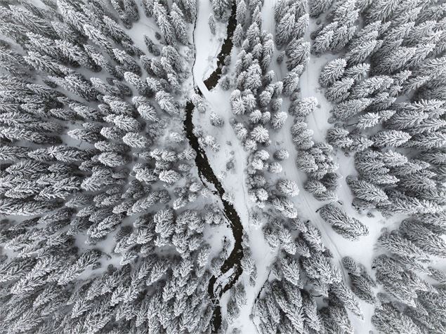 Chemin des ponts - Région Dents du Midi