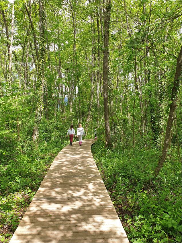 Marais des Bidonnes - ©AMbarbe