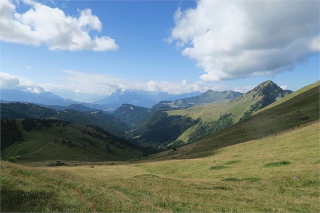 Randonnée à pied au Col Ratti_La Côte-d'Arbroz - Yvan Tisseyre / OT Vallée d'Aulps