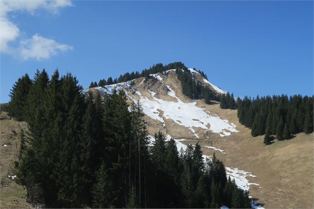 Pointe de la Croix - Victor Demilly / Vallée d'Aulps Tourisme