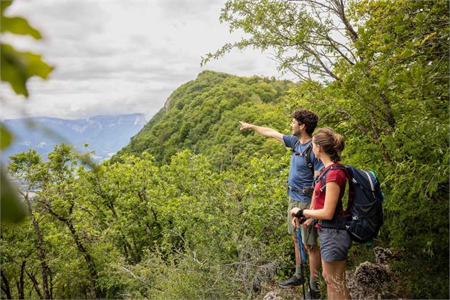 Tour du plateau de la Leysse - Rando Pédestre 3 jours_Curienne - Peignée verticale - GCAT