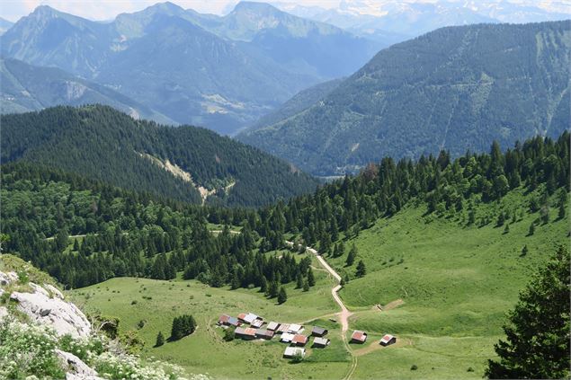 Alpage du Chablais - Seytrouset - Victor Demilly / Vallée d'Aulps Tourisme