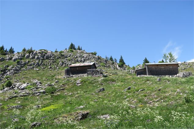 Chalets d'alpage - Victor Demilly / Vallée d'Aulps Tourisme
