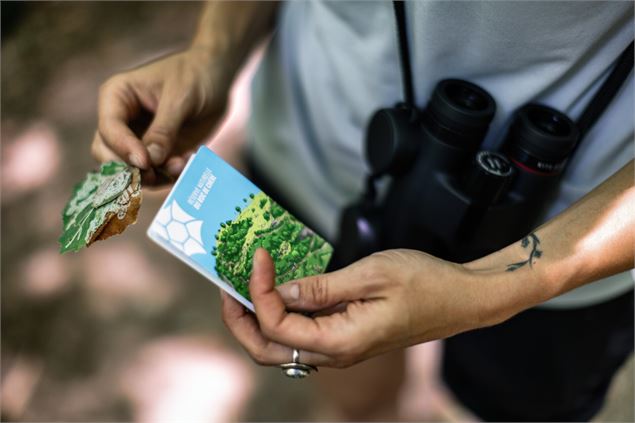 Réserve naturelle du Roc de Chère_Talloires-Montmin - Peignée Verticale / A. Tardy