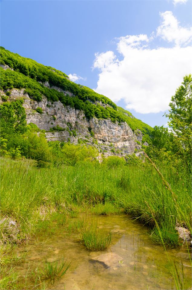 Miroir de Faille - Yan-Gaëtan Olivo