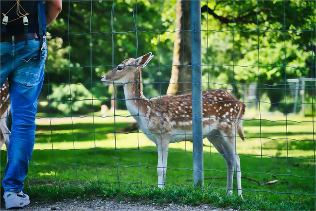 Le Parc des Dronières_Cruseilles - Franleno_Production-