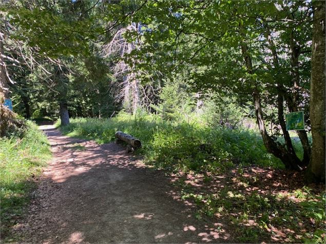 Le chemin des Poètes_Le Revard - B. Panczuk