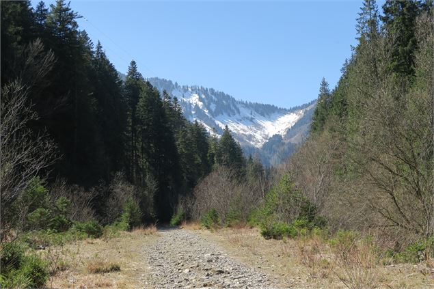 Chemin le long du torrent - Yvan Tisseyre / OT Vallée d'Aulps