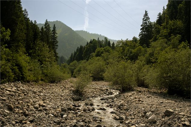 Balade au Nant de Seytroux_Seytroux - Yvan Tisseyre / OT Vallée d'Aulps