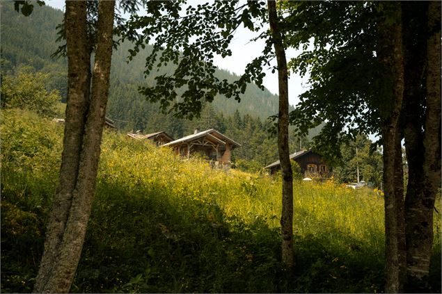 Balade au Nant de Seytroux_Seytroux - Yvan Tisseyre / OT Vallée d'Aulps