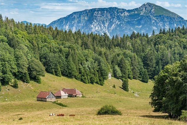 Les chalets Reguéras - GCAT
