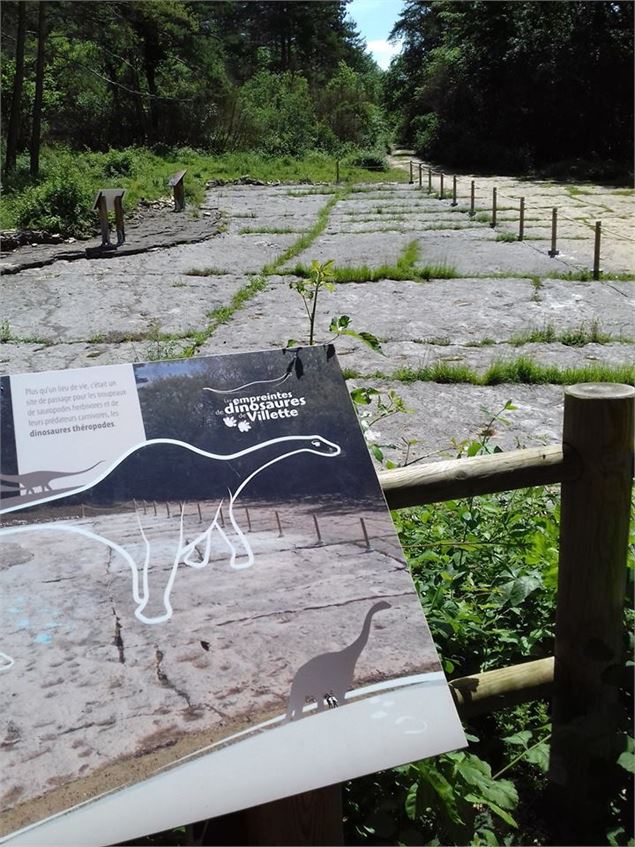 Les empreintes de dinosaures de Villette - png