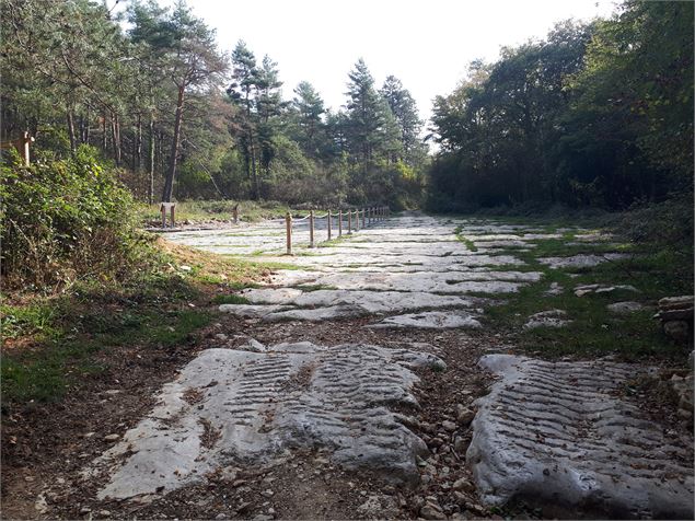 Les empreintes de dinosaures de Villette - png