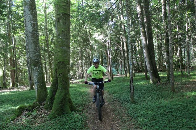 Parcours VTT 57 - bleu - Les étangs marrons - Espace VTT Ain Forestière - Jean Yves Crespo