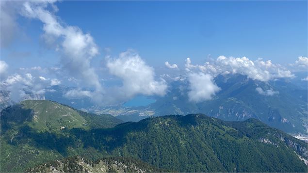 Randonnée pédestre : La Petite Sambuy via la piste forestière_Faverges-Seythenex - NFOTSLA