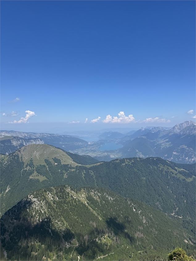 Randonnée pédestre : La Petite Sambuy via la piste forestière_Faverges-Seythenex - NFOTSLA
