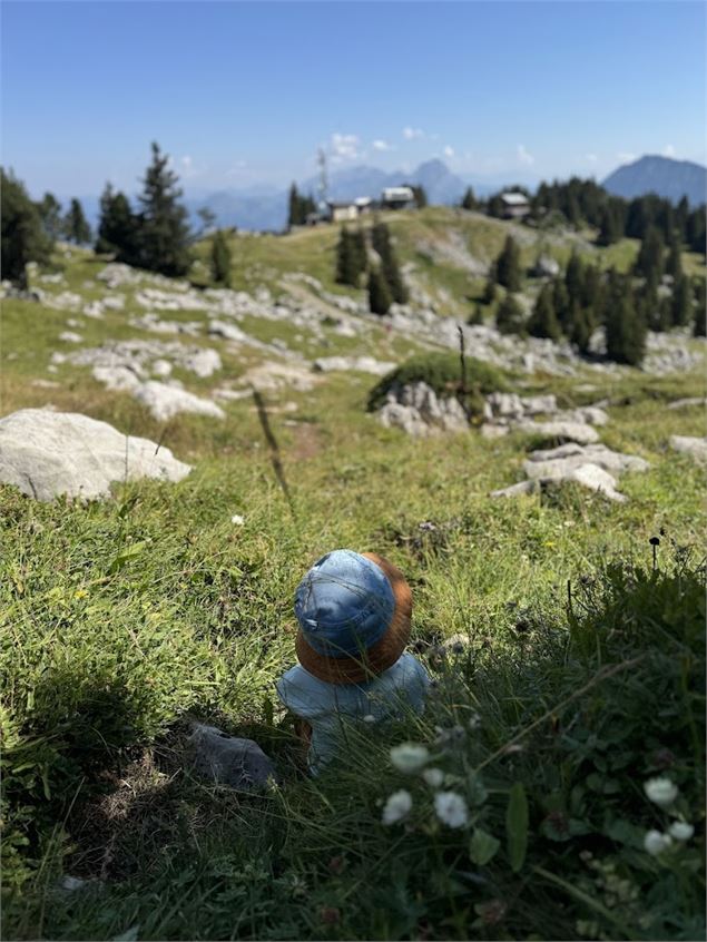 Randonnée pédestre : La Petite Sambuy via la piste forestière_Faverges-Seythenex - NFOTSLA