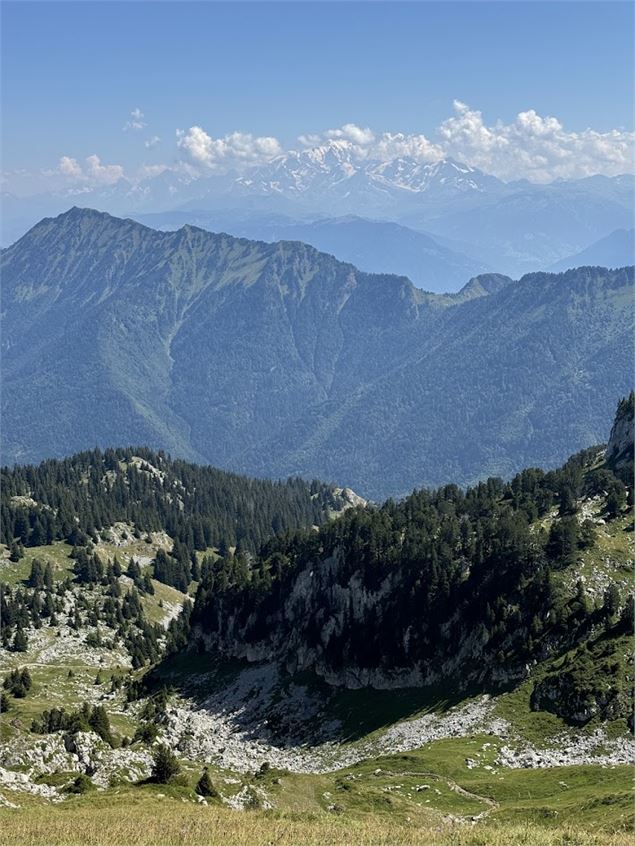 Randonnée pédestre : La Petite Sambuy via la piste forestière_Faverges-Seythenex - NFOTSLA
