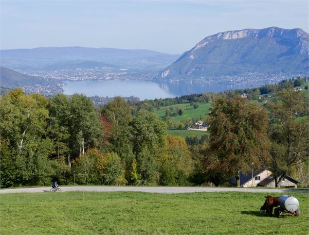 Handi'spot #5 Chevaline - La boucle du cheval_Faverges-Seythenex - ©OTSLA