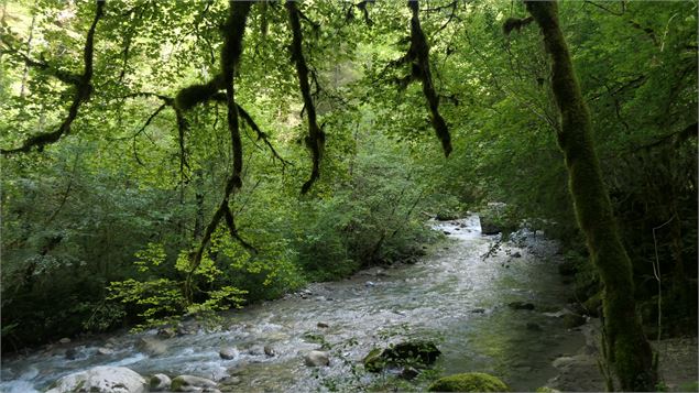 Handi'spot #5 Chevaline - La boucle du cheval_Faverges-Seythenex - ©OTSLA