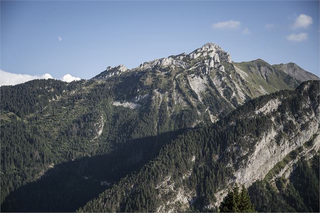 Randonnée pédestre : Boucle de la Servaz_Faverges-Seythenex - Tilby Vattard