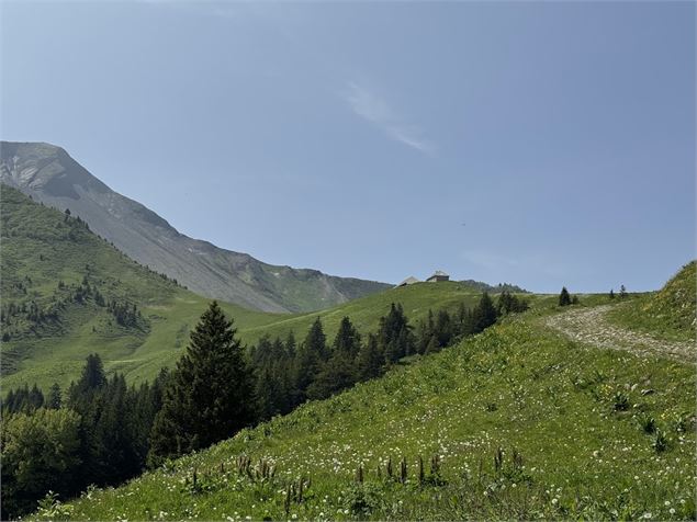 Randonnée pédestre : Boucle d'Orgeval_Faverges-Seythenex - PKOTSLA