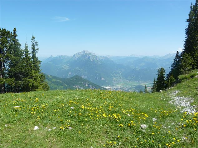 Randonnée pédestre : Aller-retour Aulp de Seythenex_Faverges-Seythenex - OTSLA