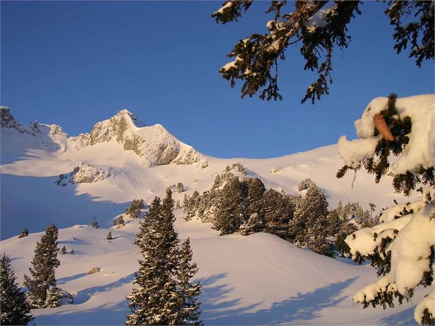 Randonnée pédestre : Aller-retour Aulp de Seythenex_Faverges-Seythenex - OTSLA