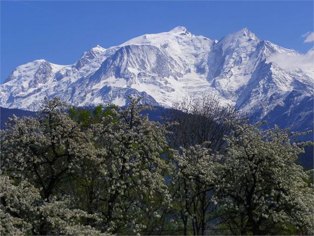 Mont Blanc au printemps - OT Combloux