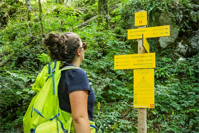 Les voies de l'Épine randonnée à Aiguebelette-le-Lac - Savoie Mont Blanc - Martelet