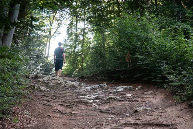 Sentier Clef des faux - Kenny Cérou