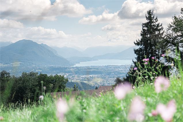 Point de vue Chez Chappaz - Kenny Cérou
