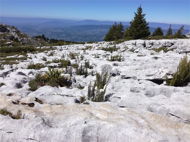 formation de Lapiaz - Office de Tourisme