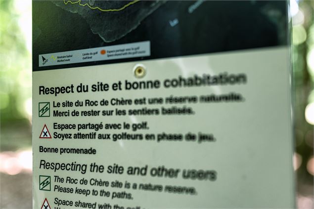 Tour du Roc de Chère_Talloires-Montmin - Peignée Verticale / A. Tardy