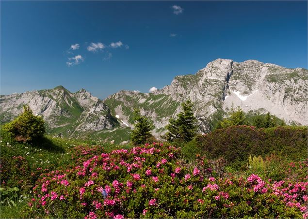 L'Arcalod - Alpigraphie / Kröll Matthias - Grand Chambéry Alpes Tourisme