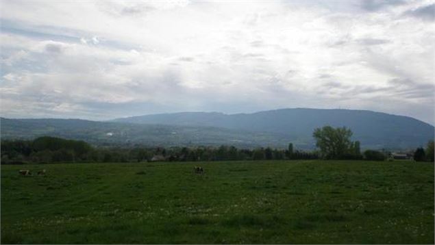 Plateau des Bornes Nord 2 - L. MADELON