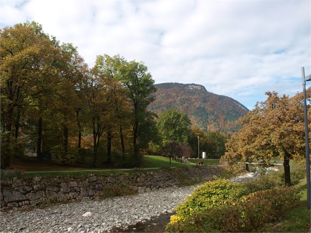 Arbres - Office de tourisme Thônes