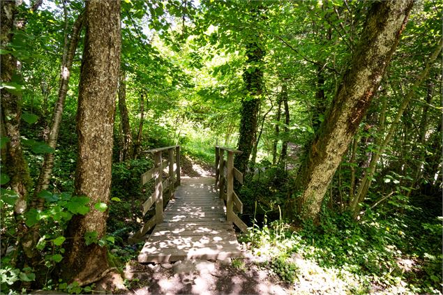 sentier - Office de Tourisme Thônes Coeur des Vallées