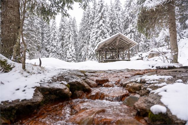 Chemin des ponts - Région Dents du Midi