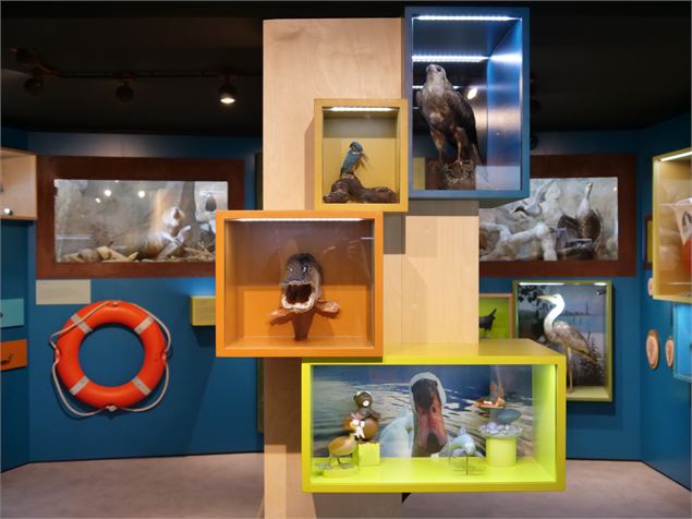 aqualisaixlesbainsrivieradesalpes - A.Coissard