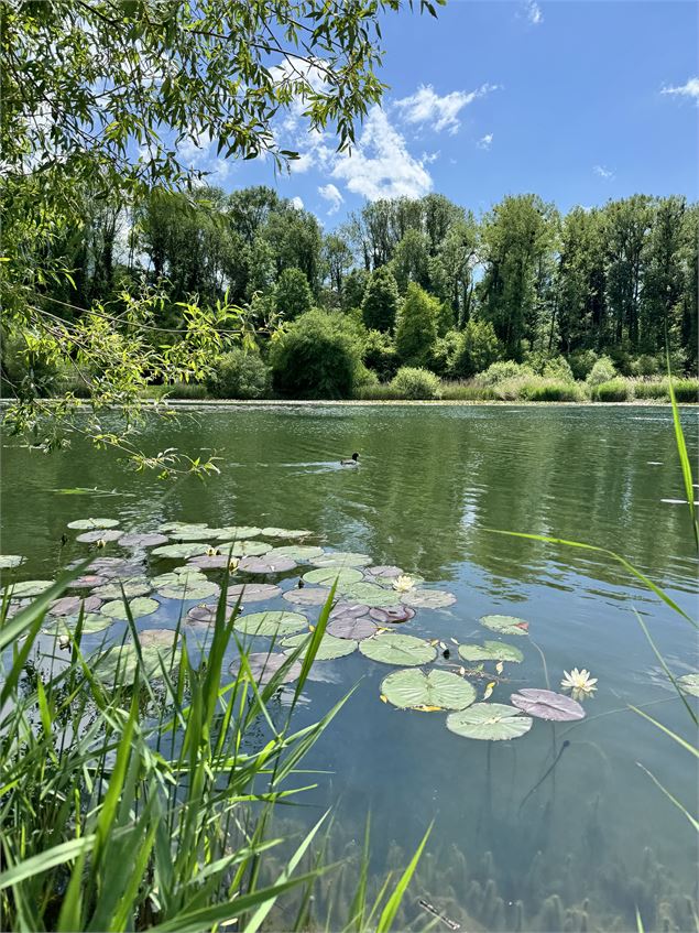 Lac du Môle_Ville-en-Sallaz - Mole & Brasses Tourisme