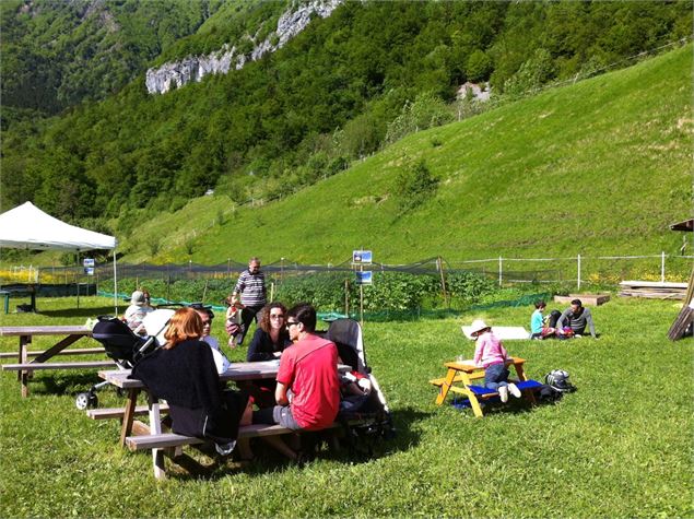 La Ferme aux Escargots d'Arno - Deransy Arnaud